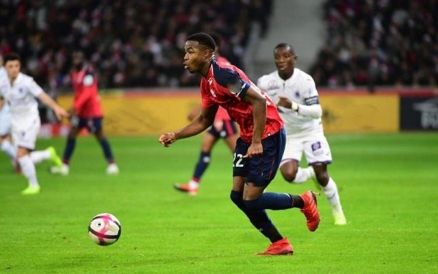 威斯布鲁克 威斯布鲁克